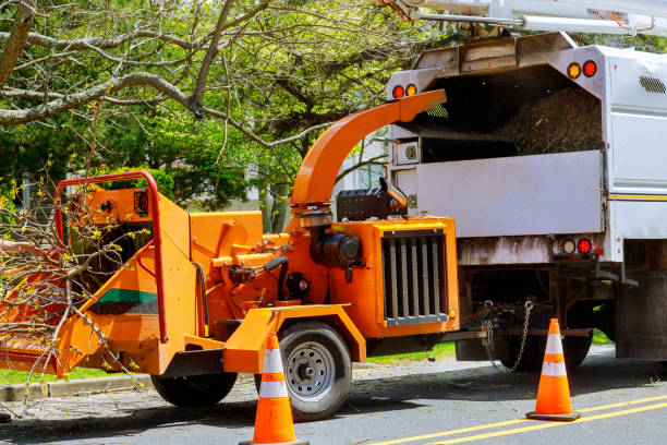 Best Emergency Tree Removal  in San Martin, CA